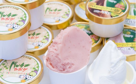 ドルチェかがみ 砂糖不使用のヘルシージェラートセット 6個入り - 送料無料 アイス 詰め合わせ 食べ比べ お楽しみ スイーツ デザート プレゼント 食物繊維 カロリーオフ ギフト 贈答用 贈り物 高知県 香南市 冷凍 dc-0058