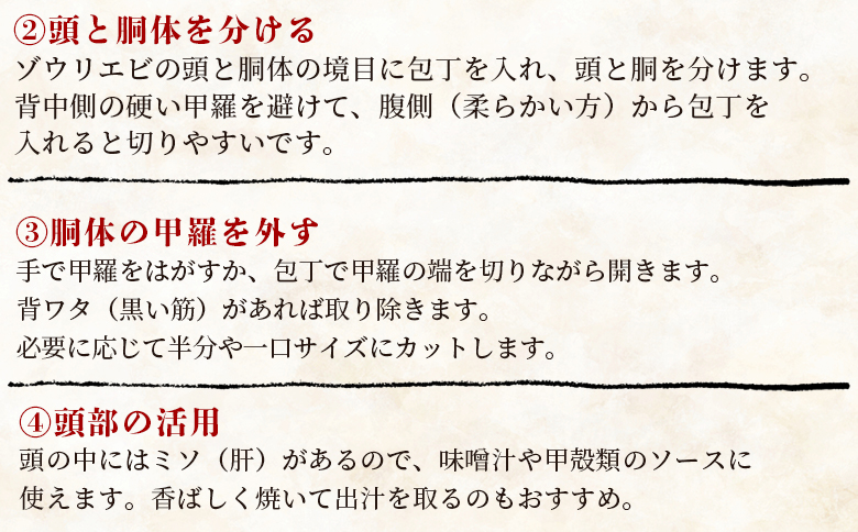 【数量限定】活 ゾウリエビ 約200～250g(1尾～2尾) - 海老 国産 エビ えび 海鮮 魚介 産地直送 プリプリ 味噌汁 刺身 焼き物 汁物 えび蔵 高知県 香南市 冷蔵 10000円以上 1万円以上 eb-0032