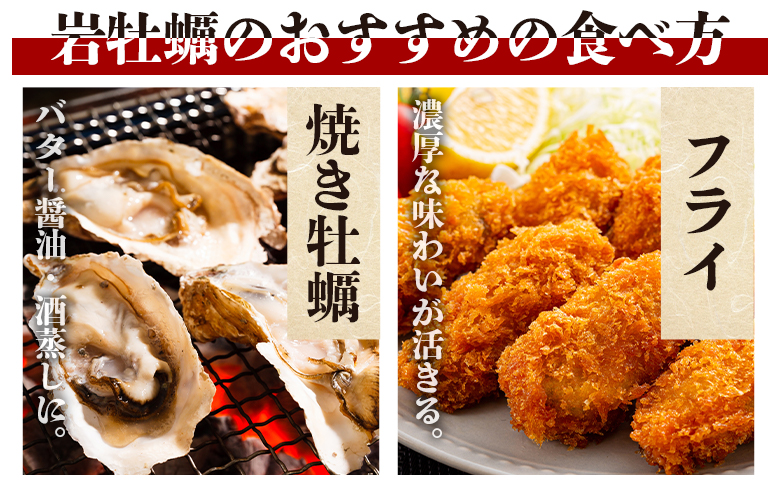 【先行受付】岩牡蠣(殻付き) 1.5kg 冷蔵 加熱用 ＜出荷期間：2026年5月～10月＞ 国産 カキ かき 牡蠣 魚介 海鮮 貝類 殻つき 天然 産地直送 肉厚 フライ 焼き牡蠣 海の幸 えび蔵 高知県 香南市 冷蔵 eb-0033