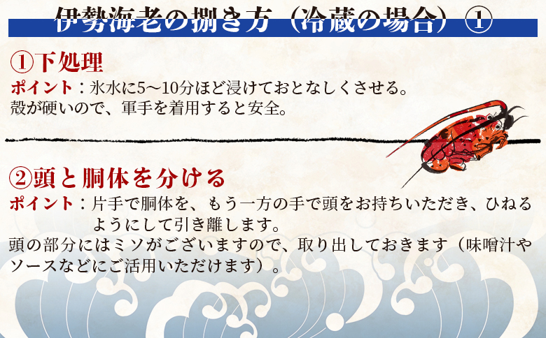 活 伊勢海老 計750g(1～3匹) 冷蔵 - 訳あり 国産 エビ えび 海鮮 魚介 産地直送 プリプリ 味噌汁 刺身 焼き物 汁物 えび蔵 高知県 香南市 冷蔵 10000円以上 1万円以上 eb-0043