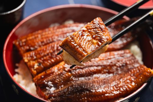 【国産】 うなぎ ２尾 【フジ物産株式会社高知支店（高知県香南市）】 [fb-0138] 鰻 2尾 約200g