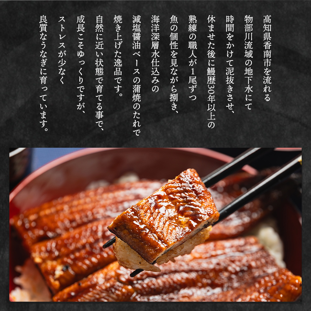 【国産】 うなぎ ２尾 【フジ物産株式会社高知支店（高知県香南市）】 うなぎ