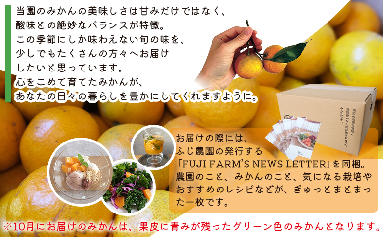 【2026年10月以降順次配送分】ふじ農園の露地みかん 訳あり品 10kg (2S～M) - 国産 蜜柑 ミカン 柑橘 果物 フルーツ 訳アリ ご家庭用 家庭用 自宅用 ふじ農園 高知県 香南市 常温 fn-0014 訳あり 10kg (2S?M)
