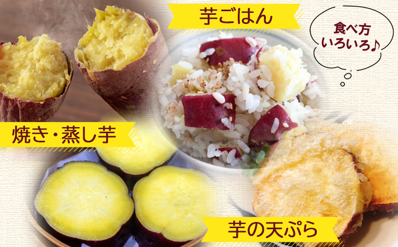 さつまいも 紅はるか10kg gr-0133