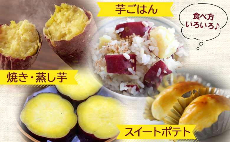 さつまいも シルクスイート 10kg gr-0135