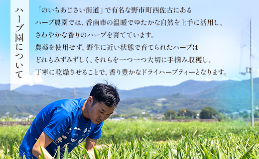 ハーブティー(レモンミントリラックス) 36袋 gr-0166