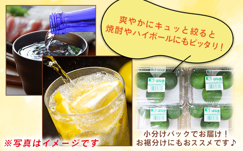 虎弥太郎 はなゆ青玉 ８パック hy-0001