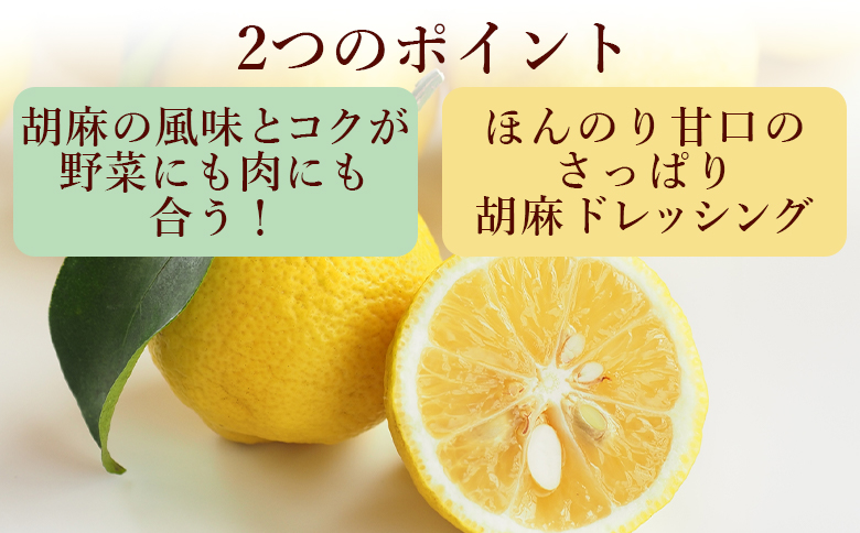 胡麻スッたらうまいで生姜 3本セット(200ml×3) kc-0004