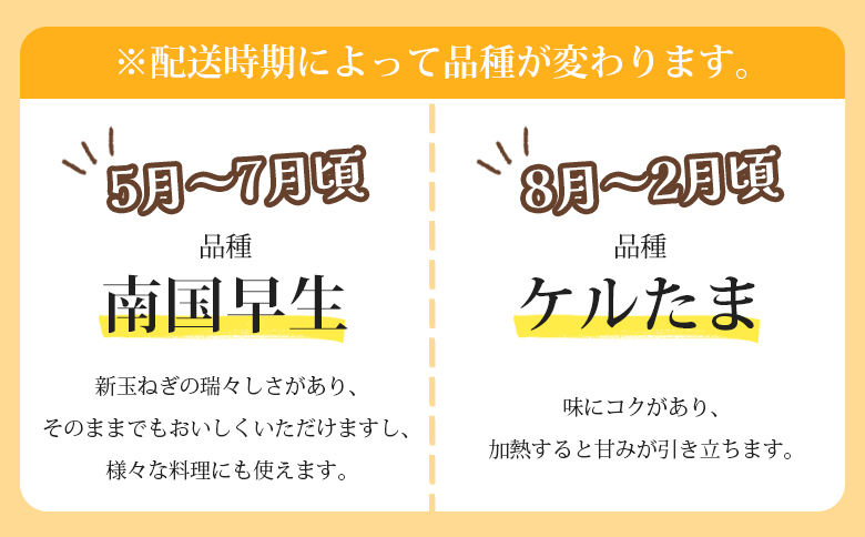 玉ねぎ 約15kg（大小混合・家庭用）- 農福 香南市産 国産 たまねぎ タマネギ 玉葱 野菜 オニオンスープ ハンバーグ 常備野菜 保存野菜 香南くろしお園 高知県 香南市 ke-0007