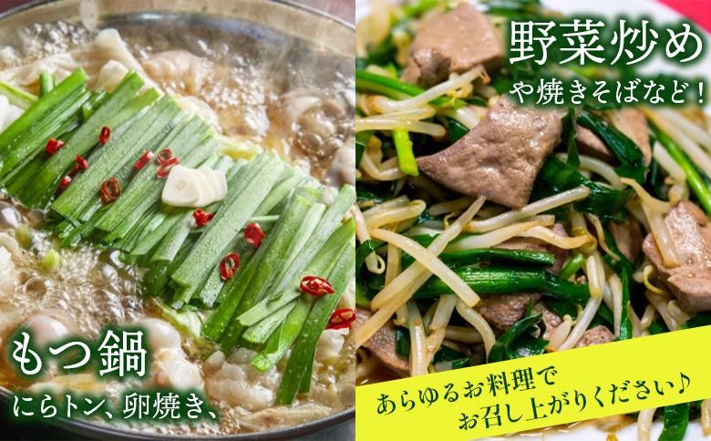 ニラ 生産量日本一 香南市産のニラ 1kg（100g×10束） 公文農園 kk-0001