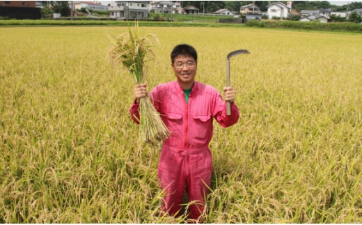 【7日程度で発送】新米 令和7年産 コシヒカリ 土佐の米 よさこい舞 10kg【スピード配送】 kr-0072