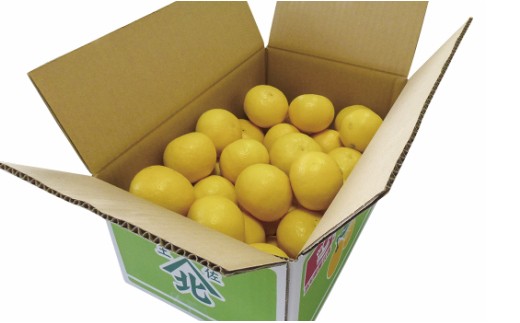 【2026年3月より順次配送】小夏 高知県 5kg 甘酸っぱさがギュッと詰まった ku-0049