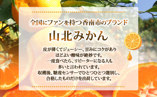 【令和8年10月下旬発送開始】山北みかん 5kg(家庭用・露地) 果物 フルーツ 温州みかん ミカン 柑橘 おいしい 甘い 送料無料 高知県 香南市 常温 ku-0054