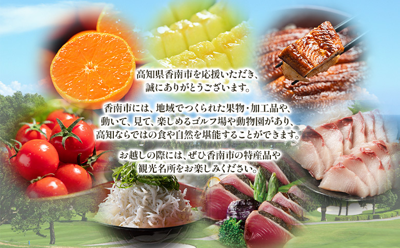 寄附のみの応援受付(返礼品はございません) 高知県 香南市 返礼品なし 寄付 ky-06