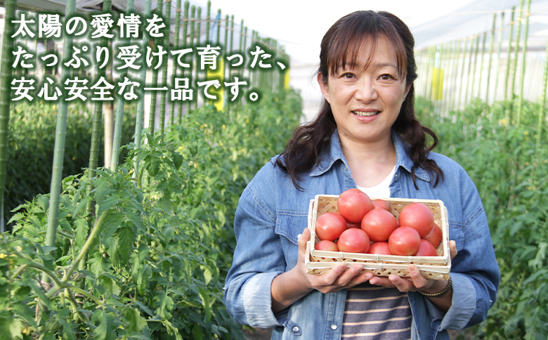 野菜ソムリエが育てた うしの惠フルーツトマト 1kg(500g×2) mj-0025