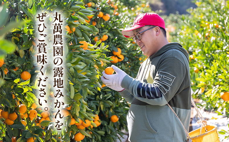 【2026年出荷分】露地みかん(2S～Mサイズ) 5kg 家庭用 丸萬農園 mn-0012 家庭用 約5kg