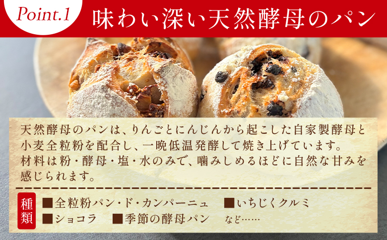 mongo mongoモンゴモンゴこだわりパンセット A 10個入り mo-0007