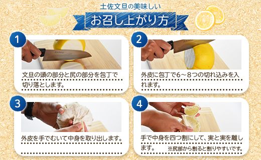 【先行予約】土佐文旦 約7kg (2L～4Lサイズ) - 期間 数量限定 果物 くだもの フルーツ 柑橘類 果実 ぶんたん ブンタン 美味しい フレッシュ ジューシー 果汁 間城農園 7キロ ザボン ボンタン お取り寄せ とりよせ 特産品 贈答 高知県 香南市 常温 ms-0067 約7kg