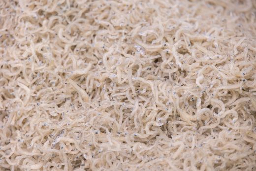 【冷蔵】上乾ちりめん 約2kg mu-0016