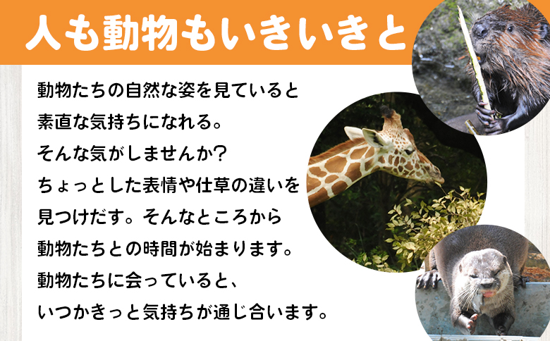【返礼品なし】高知県立のいち動物公園 動物支援(飼料費支援) 100,000円 ni-0010