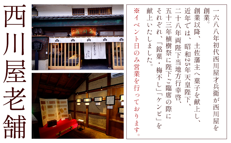 【土佐藩御用菓子舗】芋けんぴ 土佐天日塩 2袋 計300g nk-0017 2袋 土佐天日塩