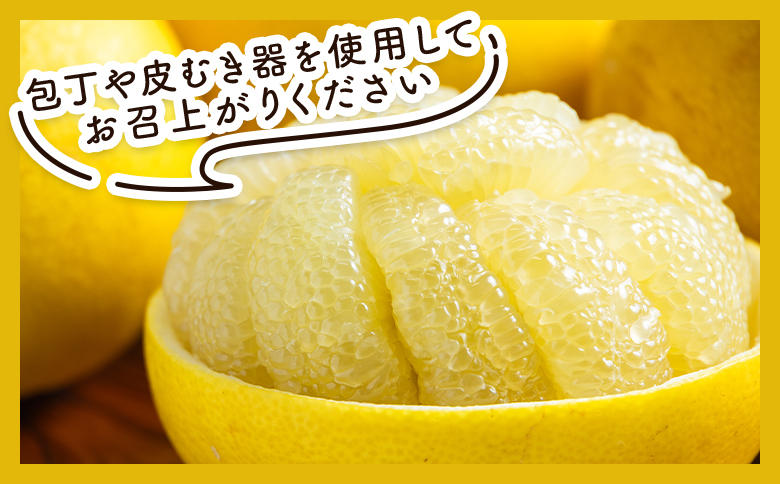 文旦 5kg 家庭用 混合（L〜2Lサイズ） 文旦 高知 訳あり ぶんたん ブンタン わけあり 5キロ 果物 柑橘 フルーツ 香南市産 高知県 nm-0001