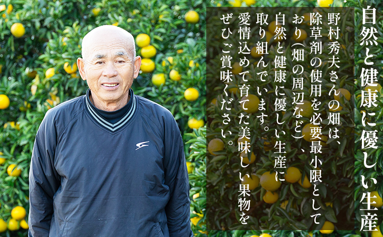 歯ごたえ抜群！次郎柿 3kg くだもの 果物 フルーツ 柿 かき カキ ３きろ ３キロ 美味しい 栄養 高知県 香南市 nm-0003