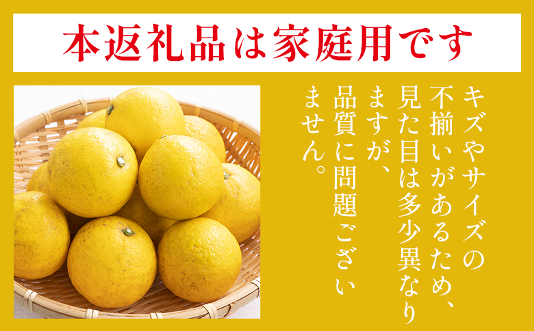 露地 小夏 5kg 家庭用 混合（M〜Lサイズ） フルーツ 果物 くだもの こなつ 5きろ ５キロ わけあり 訳あり 美味しい 高知県 香南市 nm-0005