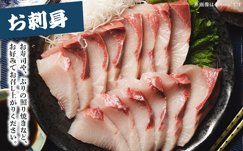 中山水産 手結沖養殖「勝ブリ」 1匹(5kg～6kg) ny-0010