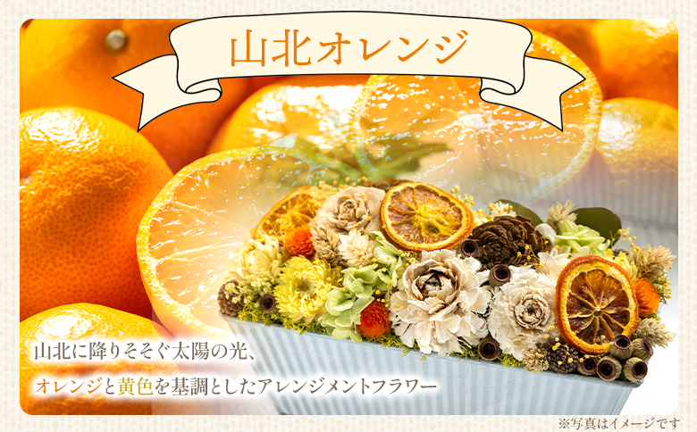 ドライフラワー プリザーブドライフラワー 山北オレンジ 花雑貨 SOU flower sf-0002
