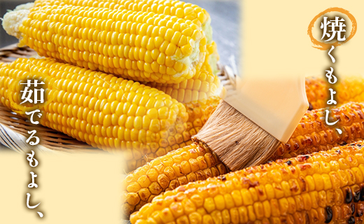【2026年5月下旬より順次配送】とうもろこし 12～15本 sy-0002