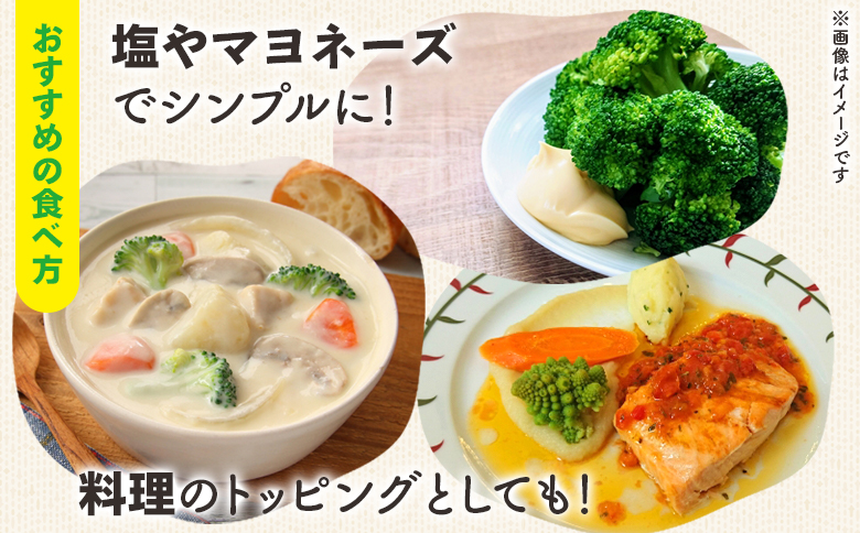 食べ比べセット ブロッコリー カリフラワー ロマネスコ 全3種 - やさい 詰め合わせ 詰合せ 簡単料理 朝採れ 新鮮 無農薬 産地直送 旬彩ファームやまさき 高知県 香南市「2026年1月中旬より順次配送」 sy-0007