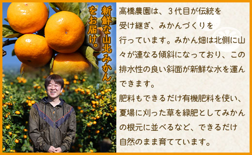 【2026年11月中旬より順次配送】家庭用 山北みかん5kg露地(Ｓ～Ｍ) 高橋農園 th-0025