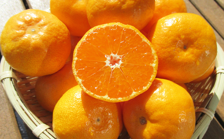 【2026年11月中旬より順次配送】高橋農園【訳あり】山北みかん 露地(Ｓ～Ｍ)Ｂ品 5kg th-0026