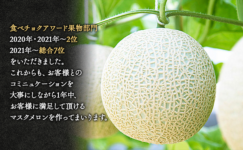 【先行予約受付】メロン 赤肉 青肉 ２玉 高級 上級品 雅&妃 マスクメロン 各１玉 - 青肉メロン 赤肉メロン セット めろん フルーツ くだもの 果物 完熟 おやつ 化粧箱入り ご褒美 果肉 果汁 ジューシー 果実 甘い 糖度 産地直送 篤農 tn-0027