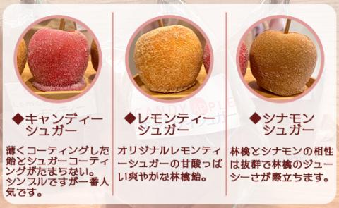tuctuc りんご飴 3種類から選べる3本セット - キャンディーシュガー レモンティーシュガー シナモンシュガー アップル 林檎 あめ フルーツ スイーツ おやつ お菓子 tt-0014