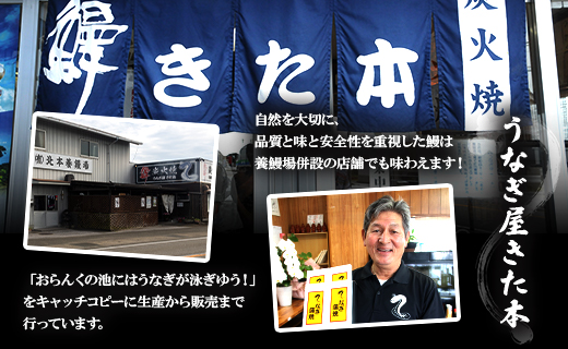 うなぎ白焼き 2尾(合計約240g)(無頭) - 送料無料 鰻 ウナギ 魚介 惣菜 おかず 山椒塩 ギフト のし 贈り物 プレゼント 贈答 丑の日 うなぎ屋きた本 高知県 香南市 冷凍 un-0017