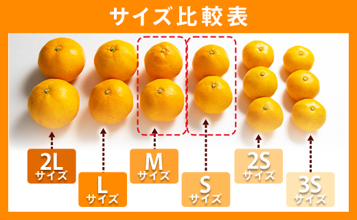 山北みかん S・Mサイズ 約5kg（40～60個程度） 山北みらい 秀品 - 果物 フルーツ 柑橘類 温州みかん ミカン 蜜柑 甘い おいしい 美味しい 高知県 香南市 yk-0062