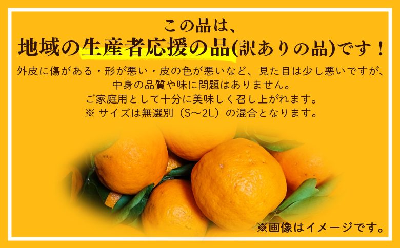山北ポンカン 家庭用 3kg(約18～30個程度) - 果物 フルーツ 柑橘類 ぽんかん ミカン 蜜柑 訳アリ わけあり 生産者応援 甘い おいしい 美味しい 山北みらい 高知県 香南市 yk-0068