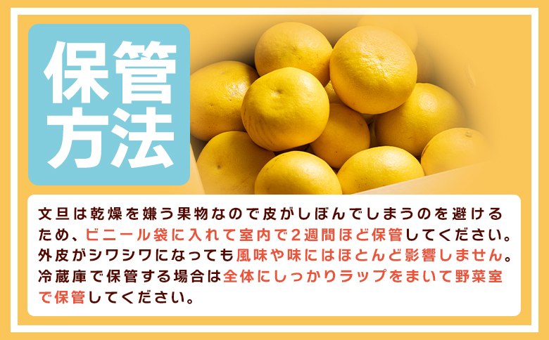 土佐文旦 家庭用 3kg 大小混合(サイズ：L～3L) yk-0071