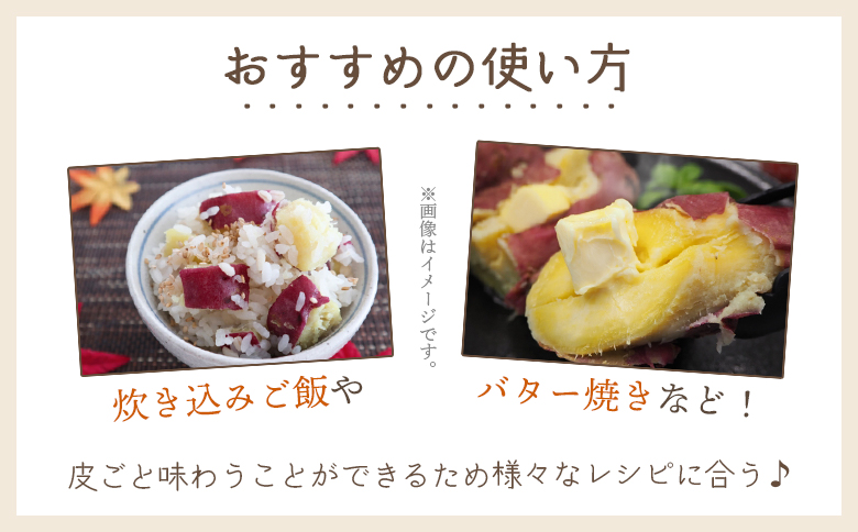 【８月発送開始】さつまいも（土佐紅）5kg - サツマイモ さつま芋 野菜 焼き芋 やきいも 焼いも おやつ スイーツ スイートポテト バター焼き アレンジ 料理 国産 高知県 香南市 yr-0045