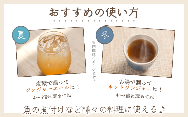 【7日程度で発送】ジンジャーシロップ 200ml×5本 生姜シロップ 高知県 しょうが 赤生姜 やすらぎ市 特産品 常温 熱中症対策 yr-0048