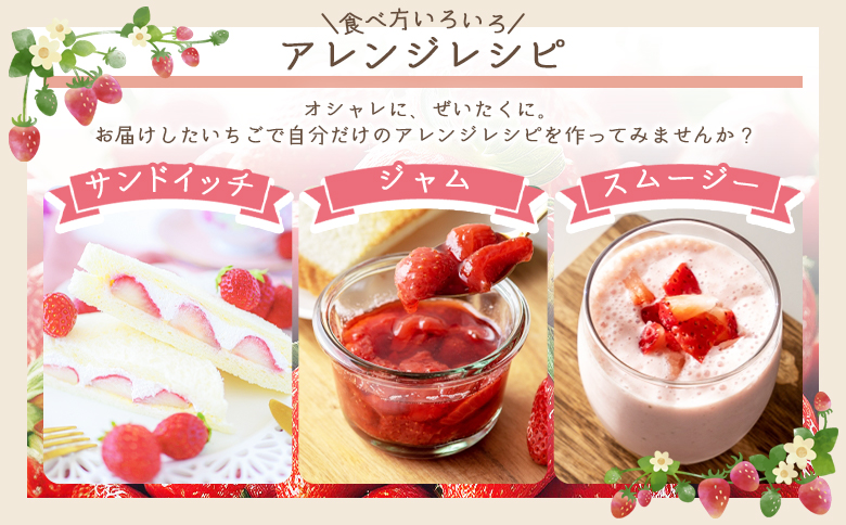 いちご 4パック（各パック15～18個） 計６０個程度 yr-0054