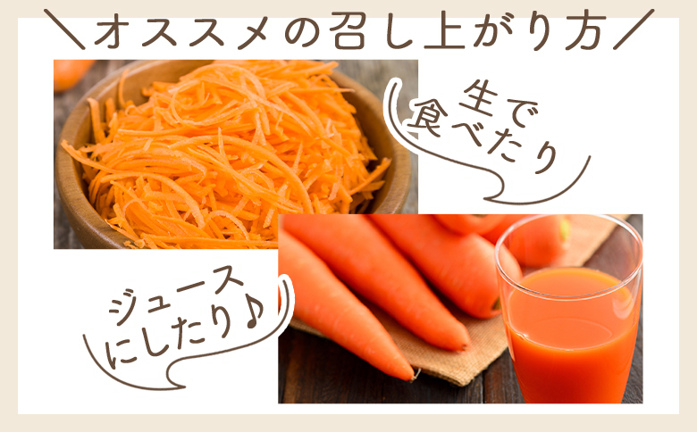 【2025年11月以降発送】にんじん 3kg 家庭用 yr-0082