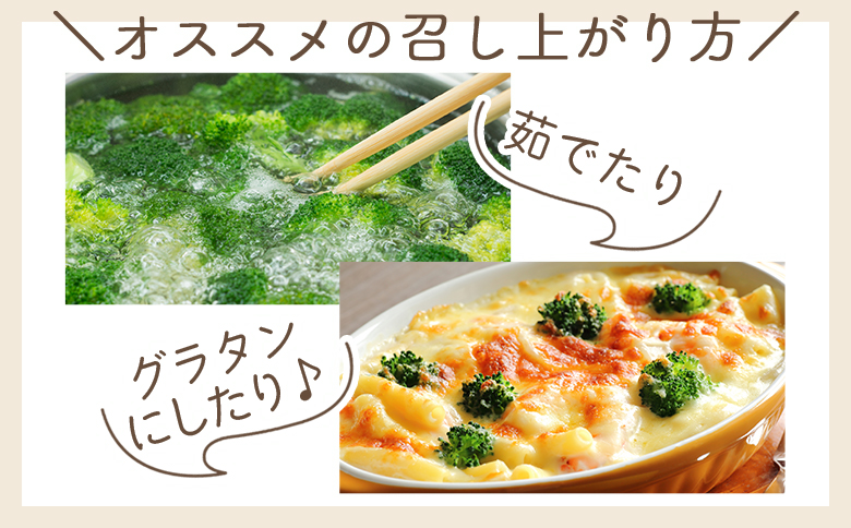 【2025年11月末以降発送】ブロッコリー 2kg 家庭用 yr-0087