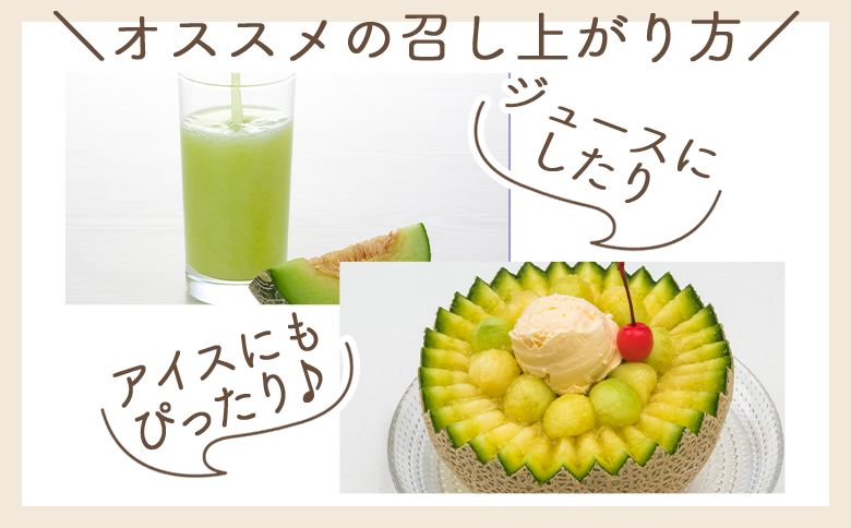 【令和8年3月発送開始】マスクメロン １玉 家庭用 yr-0088