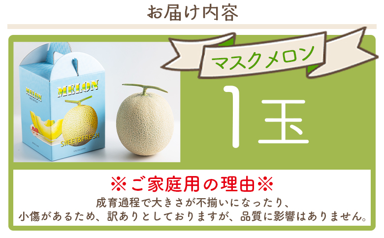 マスクメロン&柑橘2種セット yr-0111