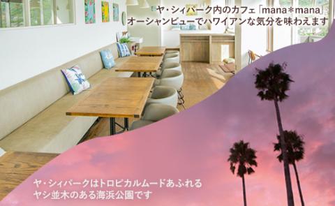 マヒマヒ フライ6枚セット - 送料無料 熨斗 のし 家庭用 自宅用 おかず おつまみ 夕食 夕飯 一品 お弁当 昼食 揚げ物 揚物 揚げるだけ 魚 さかな シイラ シーフード 香南市 ys-0010