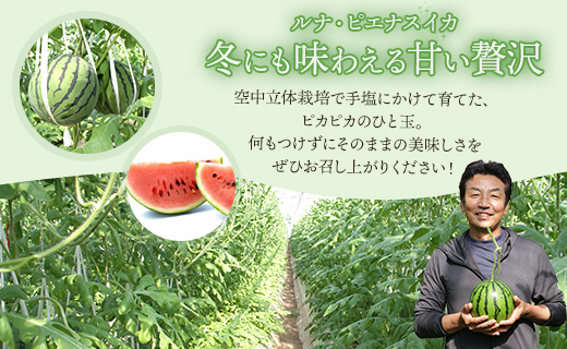【期間限定】ルナ・ピエナスイカと夜須のエメラルドメロンセット 各1玉 - 送料無料 果物 くだもの フルーツ めろん すいか 甘い ギフト 贈答用 お祝い 御祝 お礼 御礼 特産品 yu-0015 合計2玉 メロンセット