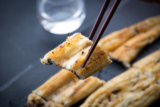 吉川水産 高知県産うなぎの白焼特大サイズ(180～210g)×1尾 タレ付き 自宅用エコ包装 yw-0042